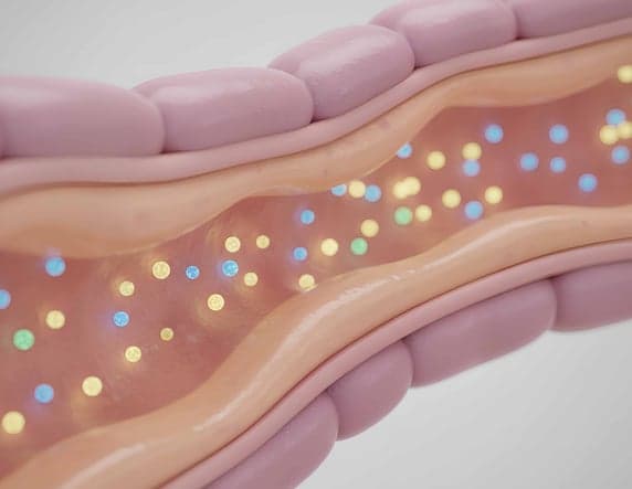 Better Absorption