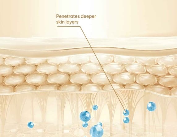 Better Absorption
