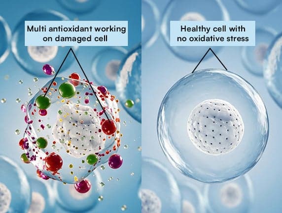 Better Absorption