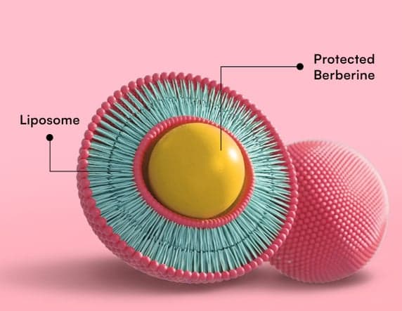 Why Science of Liposomal Berberine?