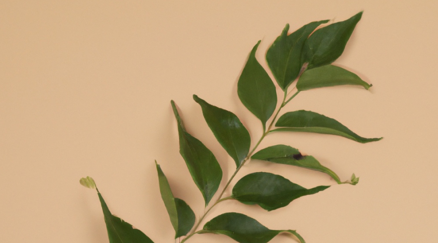 Curry Leaves for Hair