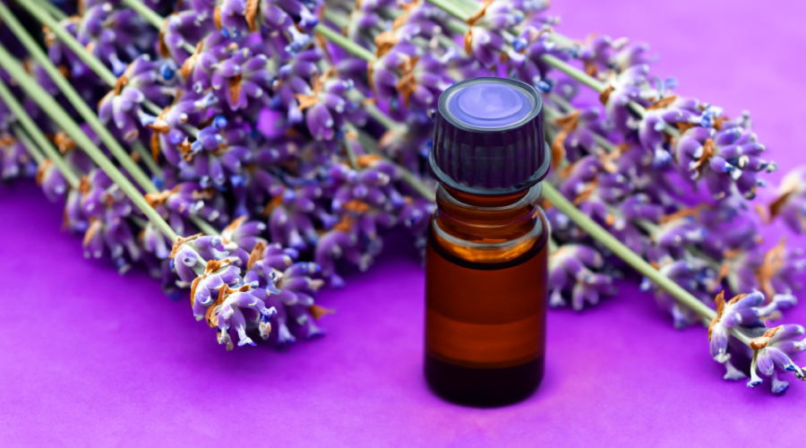 lavender essential oil for hair