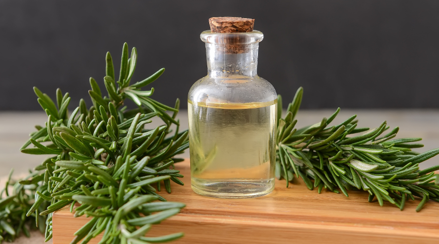 rosemary oil for hair