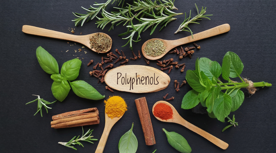 Antioxidants for Skin