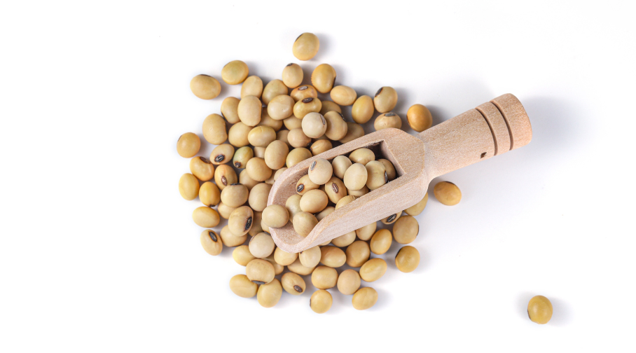 Research Studies Show Soy's Benefits for Skin Health - U.S. Soy