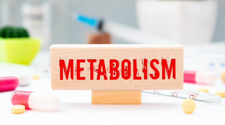 Metabolism