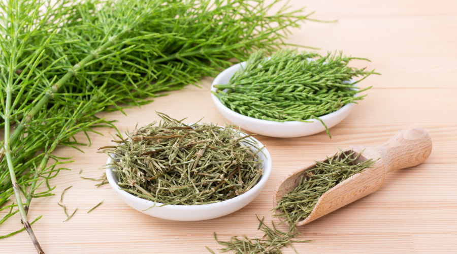 Horsetail Benefits