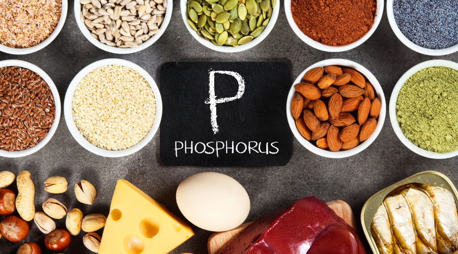 phosphorus rich foods