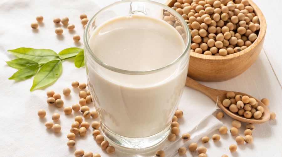 what is soy protein