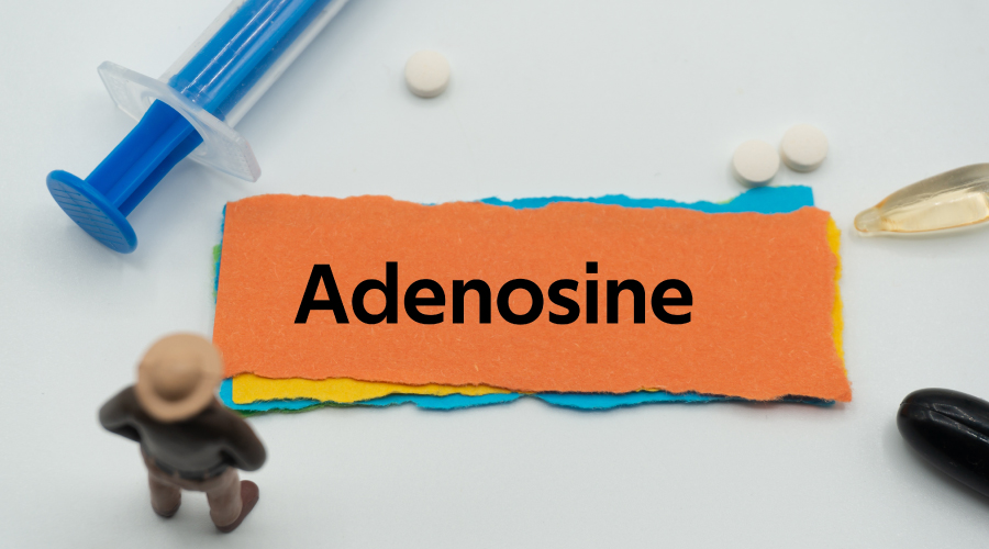 adenosine triphosphate