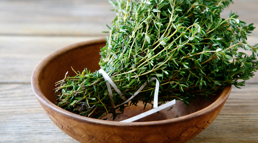 what is thyme