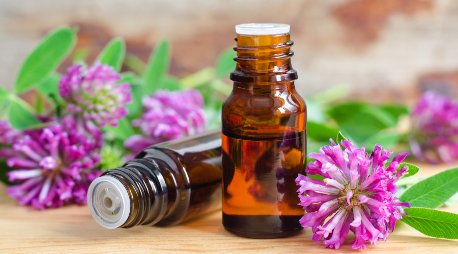 Red Clover Extract: How Does It Help With Hair Health?