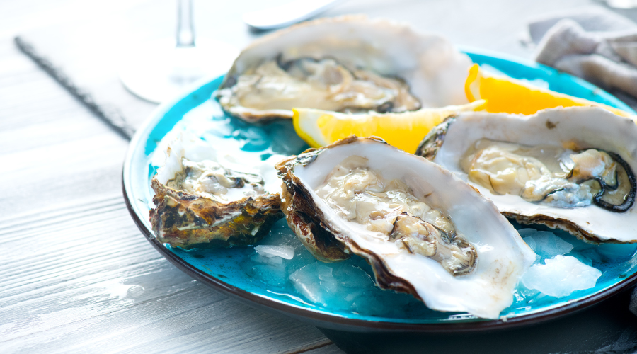 Oysters