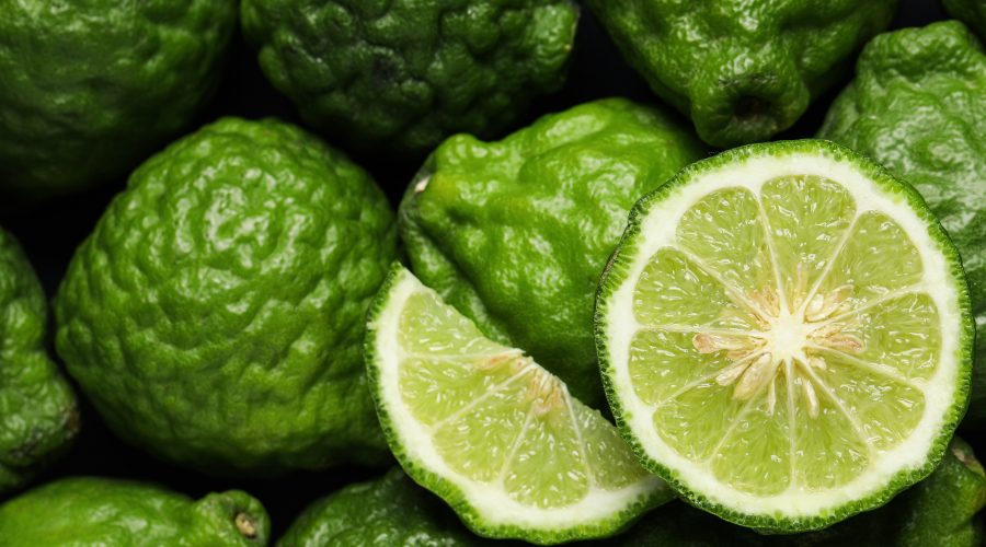 Bergamot