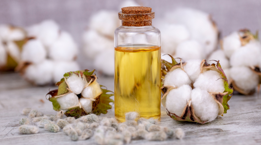 Cottonseed Oil For Hair: An Excellent Solution for Hair Health