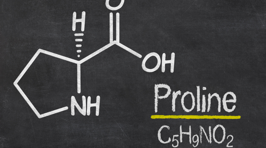 Proline: A Look into the Main Amino Acid Found in Collagen