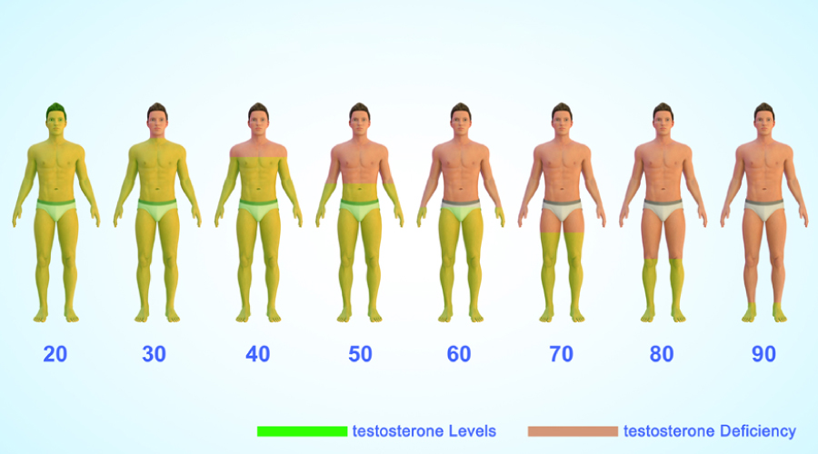 Normal testosterone levels in males