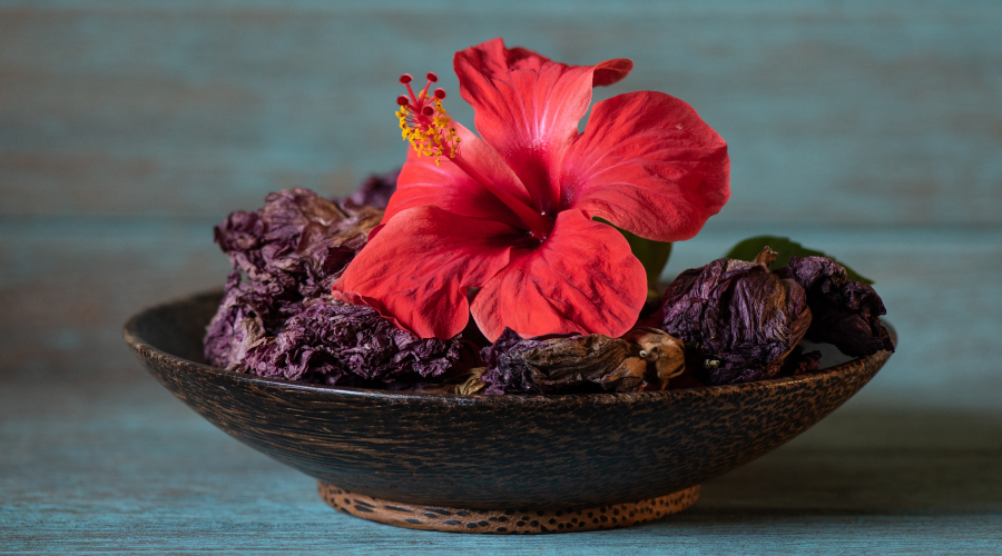 Benefits of hibiscus for hair